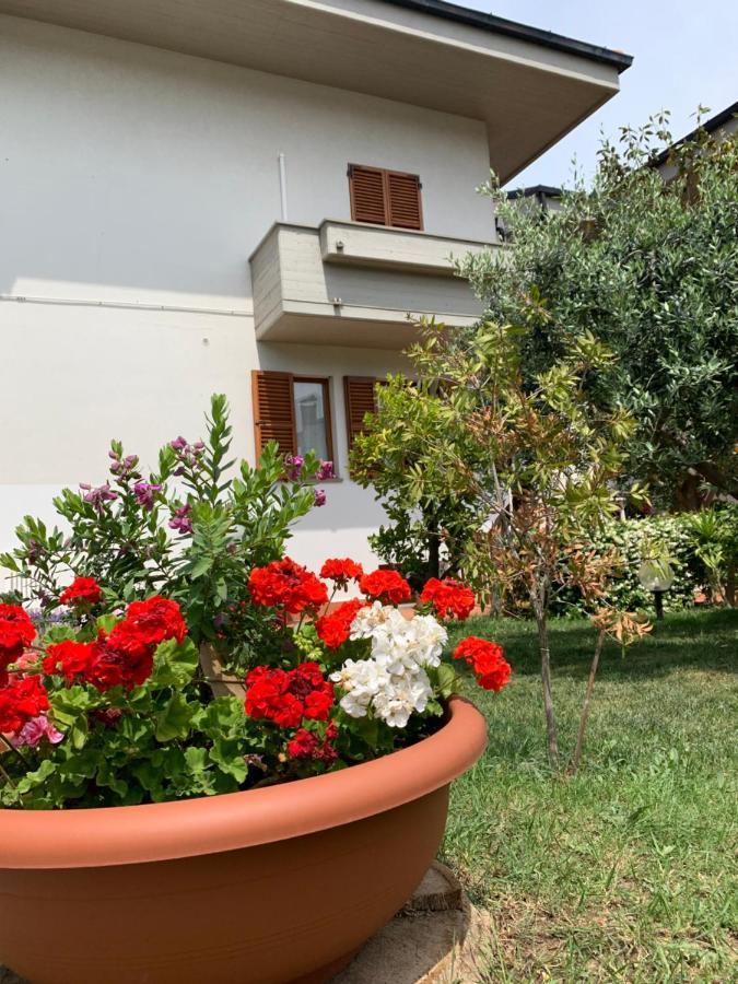 Brezza Affittacamere Montemarciano Exteriér fotografie