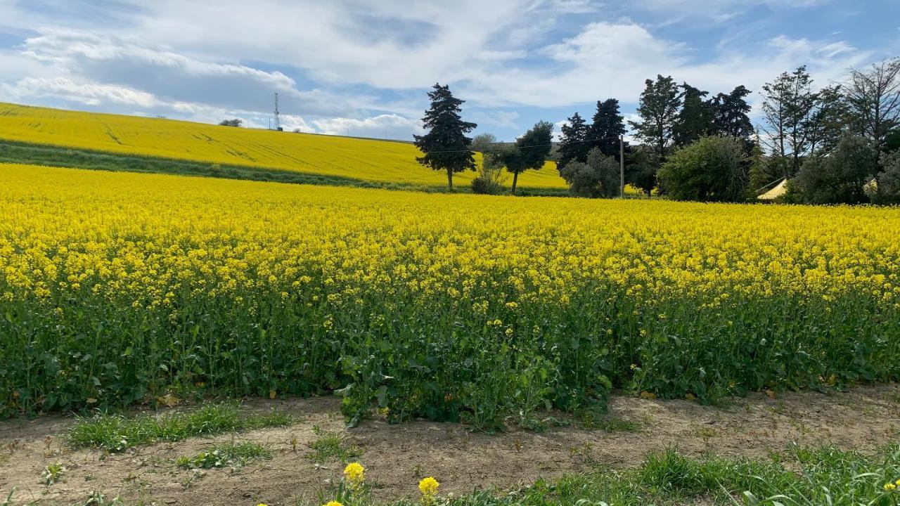 Brezza Affittacamere Montemarciano Exteriér fotografie